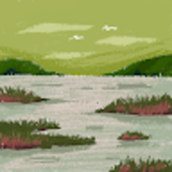 Meet your Posher, Willow - Picture 1 of 1